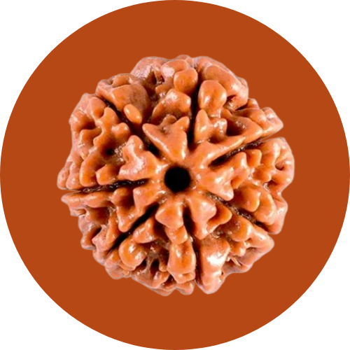 rudraksha-icon